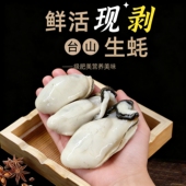 正宗台山特大生蚝肉牡蛎海味生鲜鲜活现剥去壳水产海鲜贝类生蚝肉