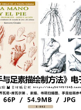 手与足素描的绘制方法 意 乔瓦尼·席瓦尔第 脚部肌肉Giovanni