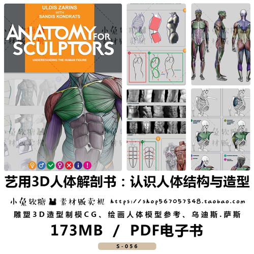 艺用3d人体解剖认识人体结构与造型雕塑造型制模cg绘广东广州 小麦优选