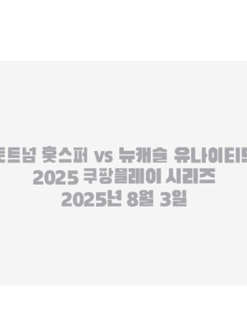 2025热刺韩国行热刺对阵纽卡斯尔对赛小字韩语热转印印字印号