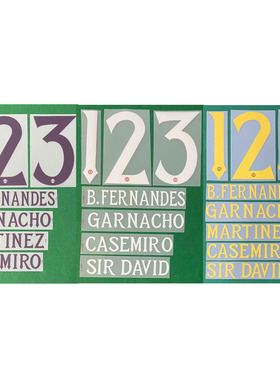 2526曼联欧冠印字19号姆伯莫谢什科费尔南德斯马丁内斯热转印