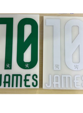 2425莱昂主客场10詹姆斯印字#10 JAMES Nameset热转印印字印号