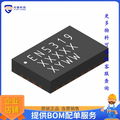 EN5319QI电源模块【DC DC CONVERTER 0.6-5.05V】