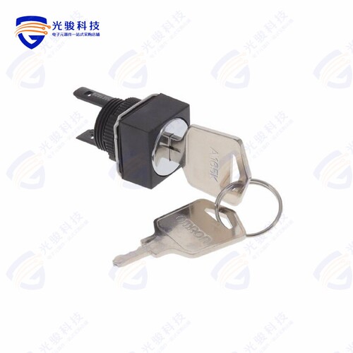 A165K-A3AMC 《CONFIG SW BODY KEYLOCK NON-ILLUM》