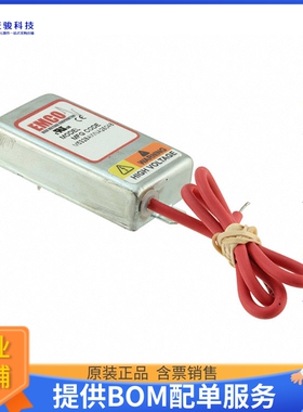 C60电源模块【DC DC CONVERTER 6000V 1W】