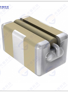 SBSGP5000332MXT 滤波器FILTER LC(PI) 3300PF SMD