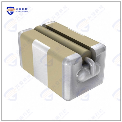 SBSGP5000102MXT 滤波器FILTER LC(PI) 1000PF SMD