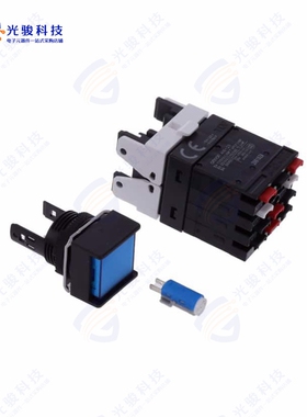 A165L-AAA-12D-2S 《SWITCH PUSHBUTTON DPDT 5A 125V》