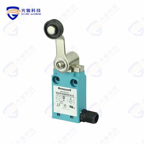 NGCPA00NX01A1A 《SWITCH SNAP ACTION DPST 6A 120V》