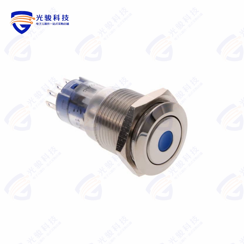 MP0045/1E1BL012 《SWITCH PUSHBUTTON DPDT 3A 250V》