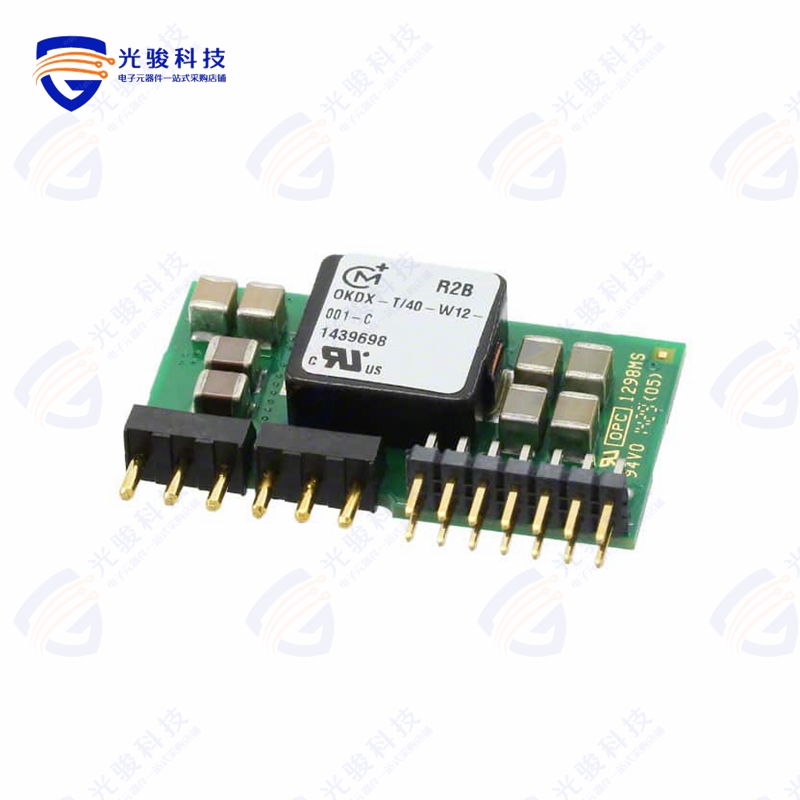 OKDX-T/20-W12-001-C《DC DC CONVERTER 0.6-3.3V》