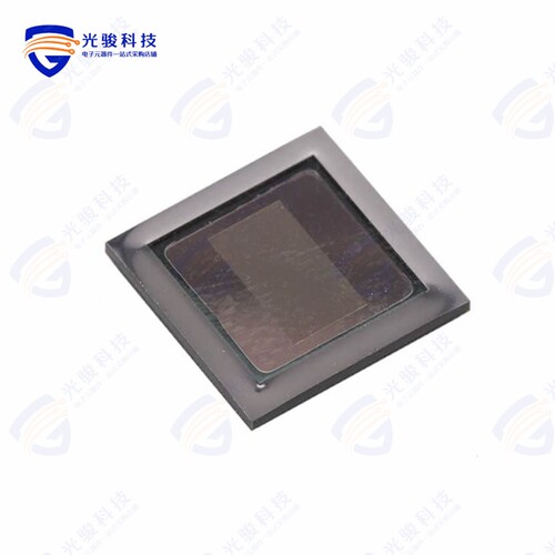 AR0230CSSC00SUEA0-DRBR《IMAGE SENSOR》