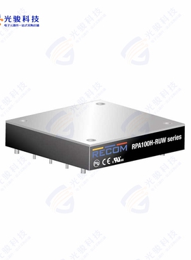 RPA100H-11048SRUW/N《DC DC CONVERTER 48V 101W》