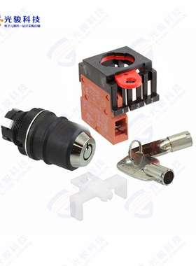 A22TK-2RR-01-K01 《SWITCH KEYLCK 2POS SPST 10A 110V》