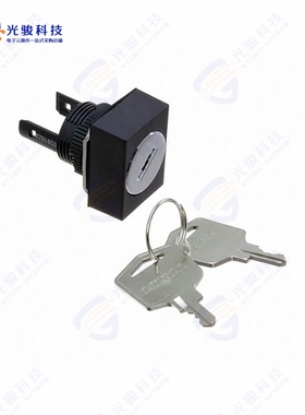 A165K-A3AC 《CONFIG SW BODY KEYLOCK NON-ILLUM》