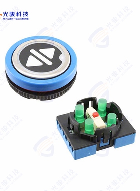 LPI5424G1K15714 《SWITCH PUSHBUTTON DPST 5A 12V》