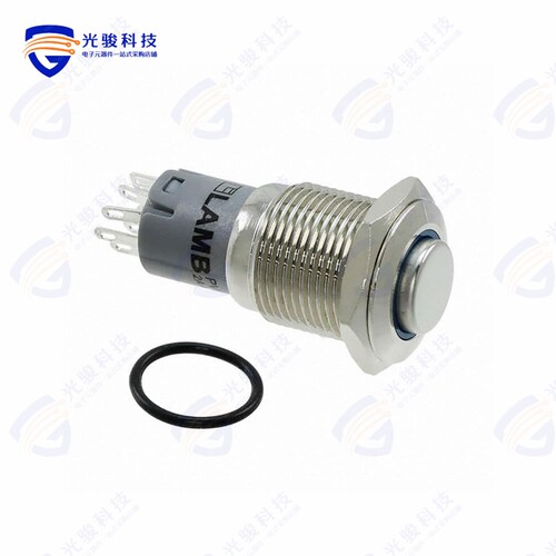 PV3H2H0NN-344 《SWITCH PUSHBUTTON DPDT 2A 48V》