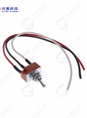 S2AW-WL 《S2AW W/ 12