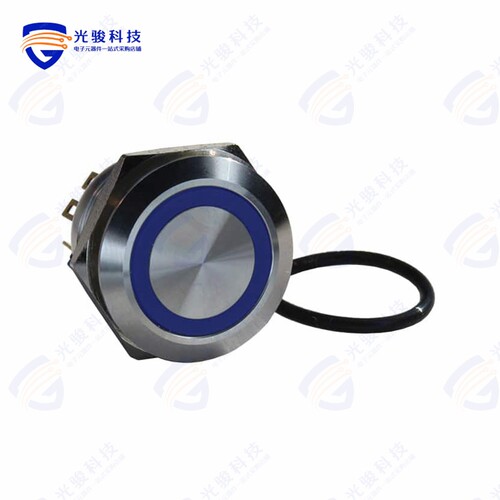 DH221NBSBN 《ILLUMINATED, IP67 ANTI-VANDAL SW》