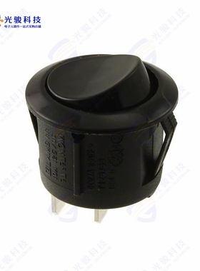 RRG31131100 《SWITCH ROCKER SPST 10A 125V》