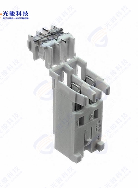 1-282002-2《CONN PLUG 2POS IDC TIN》