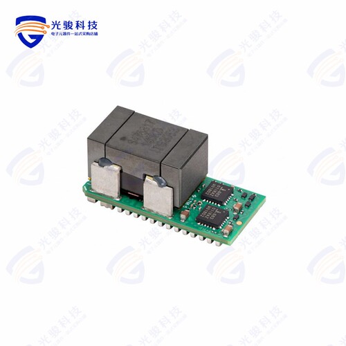 LGA110D-01DADJJ《DCDC POL DUAL 55A DIGITAL/ANALOG》