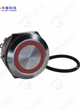 DH221NBSR12 《ILLUMINATED, IP67 ANTI-VANDAL SW》