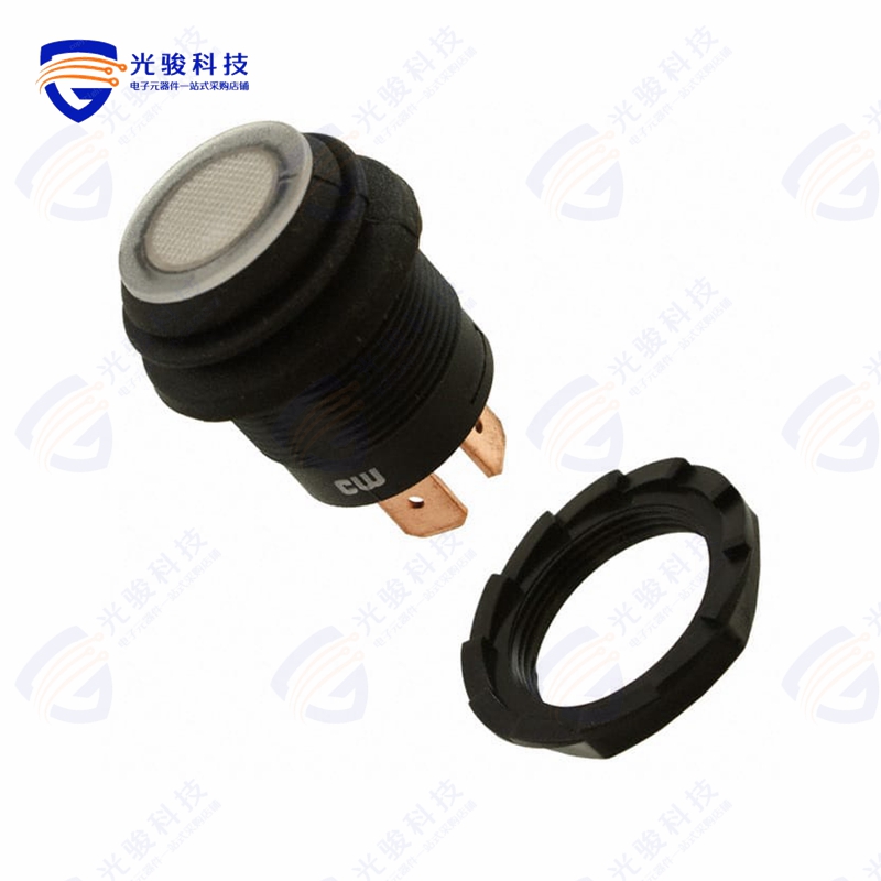GPB553A2L01BW 《SWITCH PUSH SPST-NO 10A 14V》