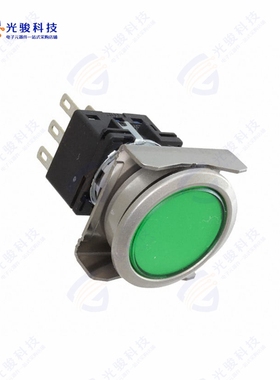 LBW6ML-M1T54G 《LBW FLUSH ILLD PB MOME. GREEN》