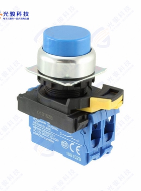 A22NN-RPM-NAA-G101-NN 《SWITCH PUSH DPST-NO 10A 120V》