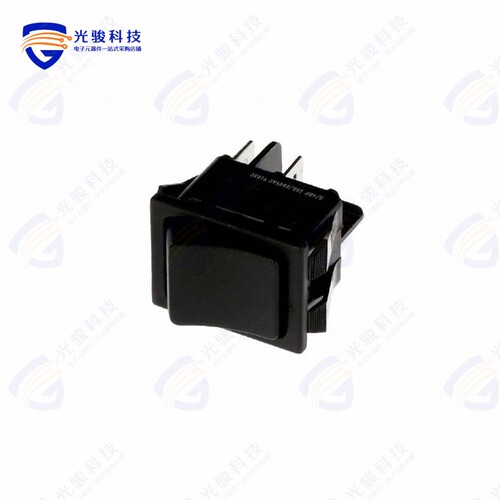 RB242D1100 《SWITCH ROCKER DPST 20A 125V》