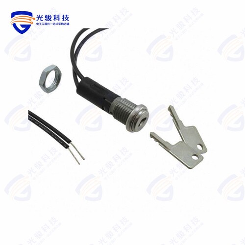 YM06132C2WCNQ 《SWITCH KEYLOCK 2POS SPST 4A 125V》