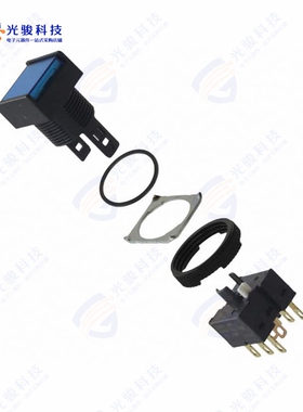 A165L-AAM-12D-2 《SWITCH PUSHBUTTON DPDT 5A 125V》