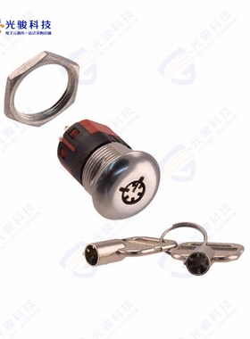 Y2011U2V203NQ 《SWITCH KEYLOCK 2POS DPDT 4A 125V》