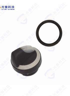 1.30252.0012208 《CONFIG SW BODY SELECTOR ILLUM》