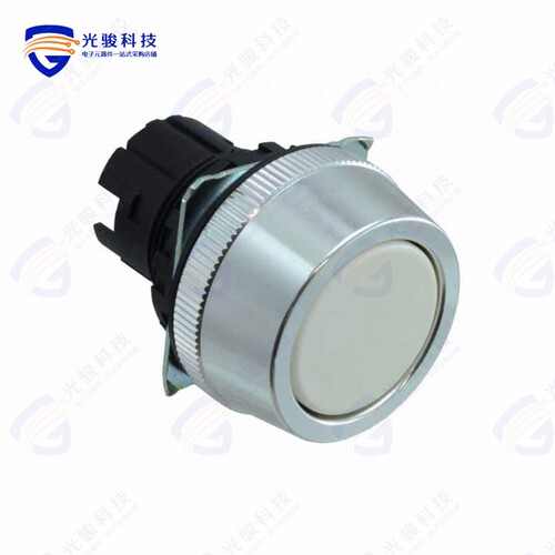A30NZ-MGA-NWA 《CONFIG SW BODY PUSHBUT NON-ILLUM》