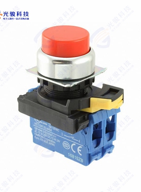 A22NN-RPM-NRA-G101-NN 《SWITCH PUSH DPST-NO 10A 120V》