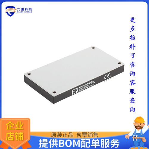 RDH60072WS48电源模块【DC DC CONVERTER 48V 600W】
