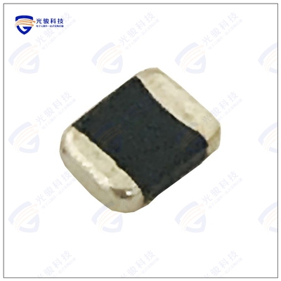 BDHH002520101R0ME1 电感器INDUCTOR POWER