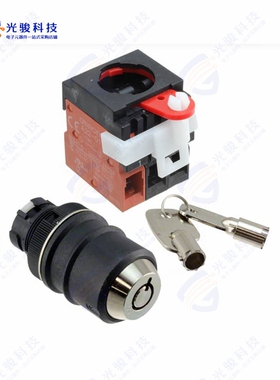 A22TK-2LL-21-K03 《SWITCH KEYLCK 2POS DPST 10A 110V》