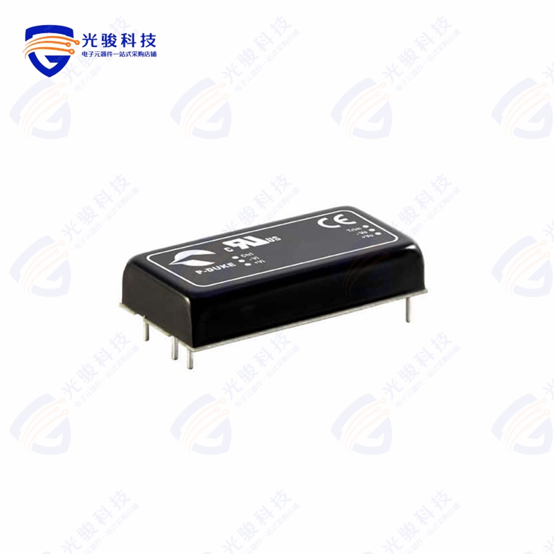 RED60-24S3P3W《DC DC CONVERTER 3.3V 60W》