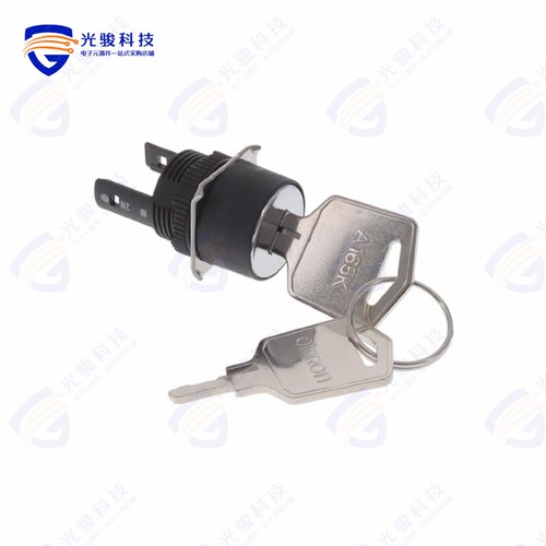 A165K-T2M 《CONFIG SW BODY KEYLOCK NON-ILLUM》