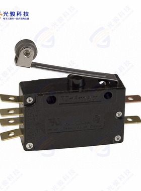 ADPDC2W04AC 《SWITCH SNAP ACTION DPDT 15A 125V》