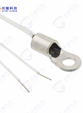 USP10976《THERM NTC 10KOHM 3892K RING LUG》