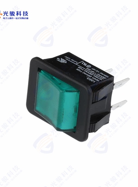 C1353ABBG2 《SWITCH ROCKER DPST 20A 250V》