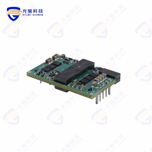 QPS3150N013N25W《DC DC CONVERTER 15V 195W》
