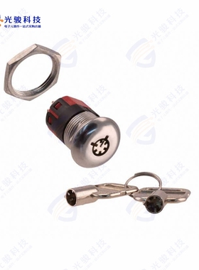 Y1011U2V203NQ 《SWITCH KEYLOCK 2POS SPDT 4A 125V》