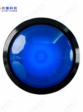 1189 《SWITCH PUSHBUTTON SPST-NO BLUE》