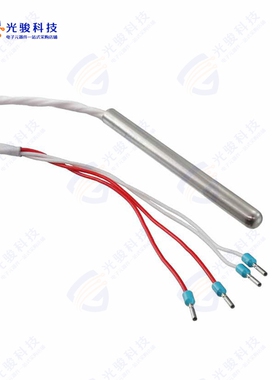 20009209-01《100 OHM RTD, 4 WIRE, CLASS A》