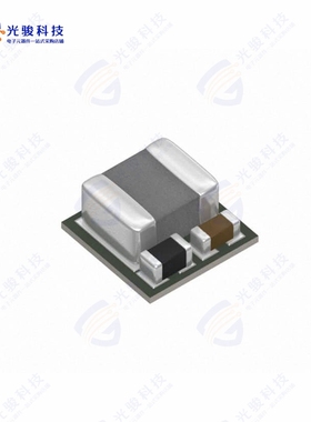 FS1406-1000-AS《DC DC CONVERTER 1V》